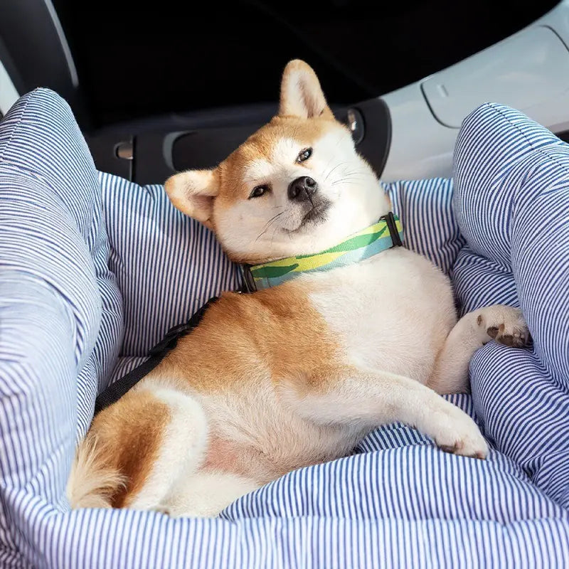 Multi-Purpose Car Pet Seat